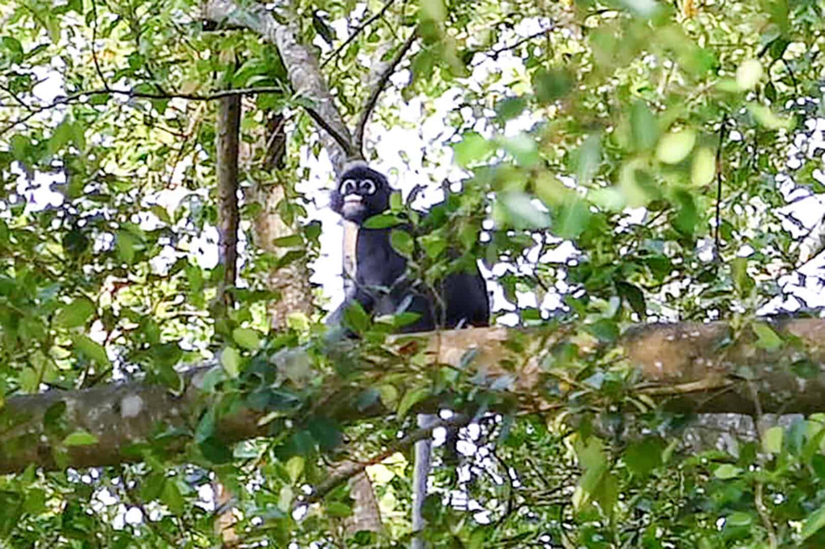 5a9c4123 6af2 467c 8d47 2c27c2be139d