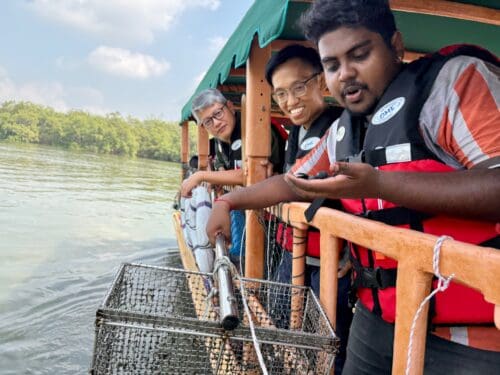 72d6f06e d3f5 4fd5 95c2 c39e4757ec01