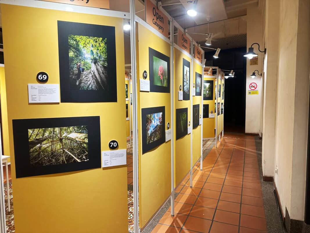 the exhibition will be held from 4 23 august 2025 at the whiteaways arcade