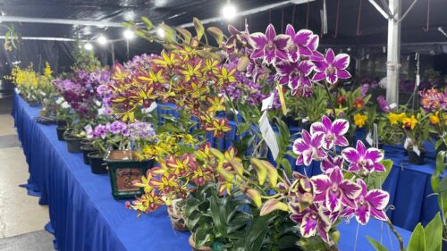 51f9faf4 cf31 4fe4 a5ae 6807c8d88632