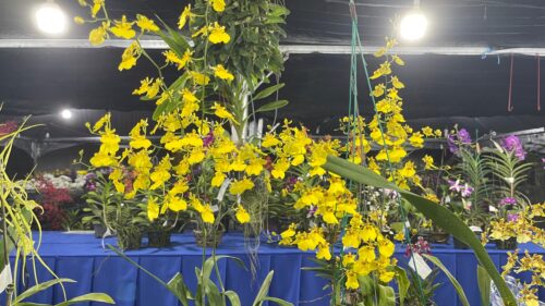 52dc8edf 5351 4a50 8628 be3a7a94cc82