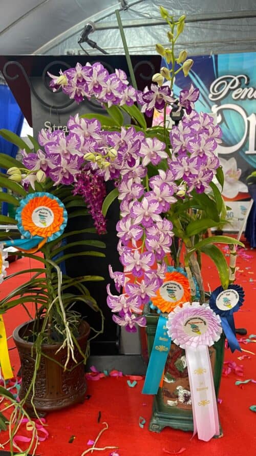 5f3ef66a cbe8 4168 815e bd9c99f6c418