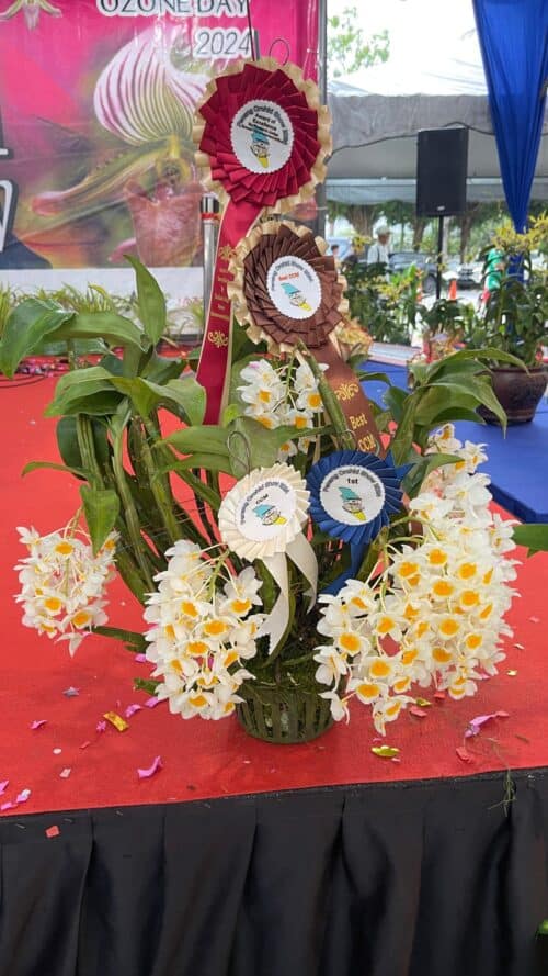 6bc7cf64 75e8 49ca 84ab e98b99ad1a12