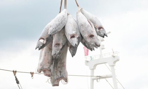 badbafcc bb10 4b04 bc44 3980eb496ca6