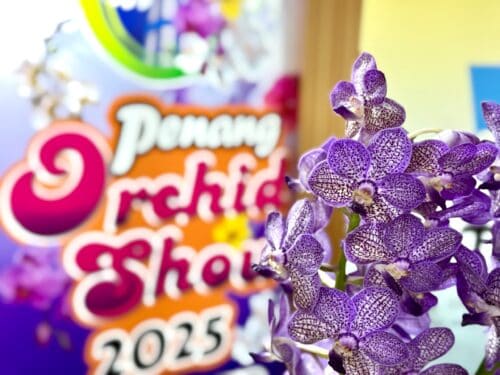 whatsapp image 2025 09 02 at 11.31.56 am