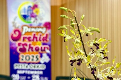 whatsapp image 2025 09 02 at 11.31.58 am