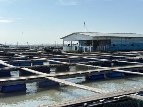 whatsapp image 2025 09 11 at 12.38.28