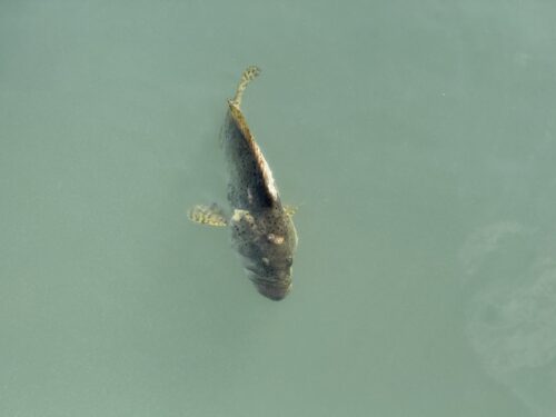 whatsapp image 2025 09 11 at 12.38.40