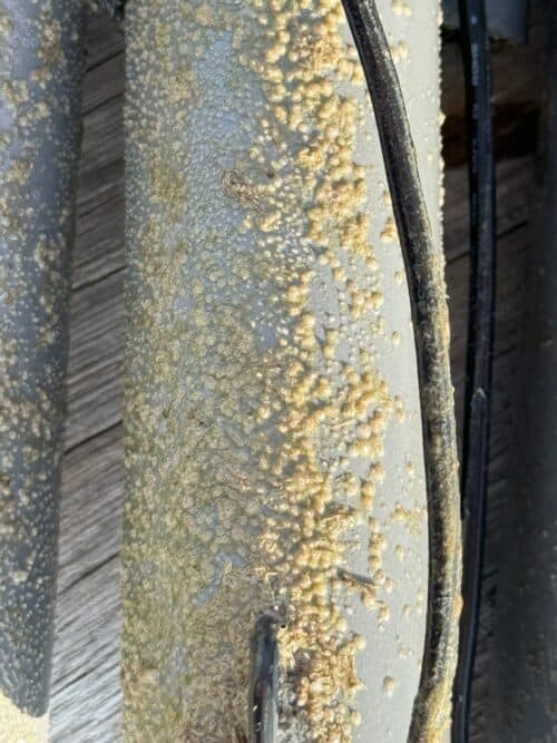 whatsapp image 2025 09 11 at 12.38.43