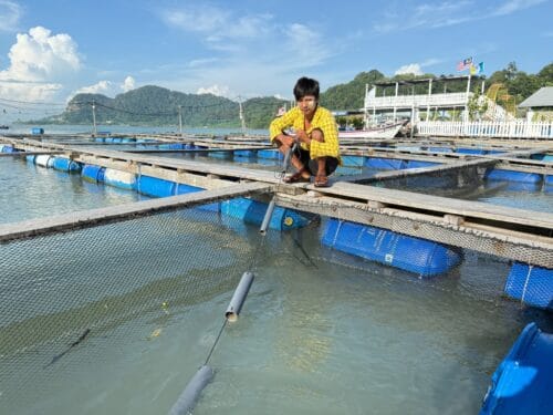 whatsapp image 2025 09 11 at 12.38.50