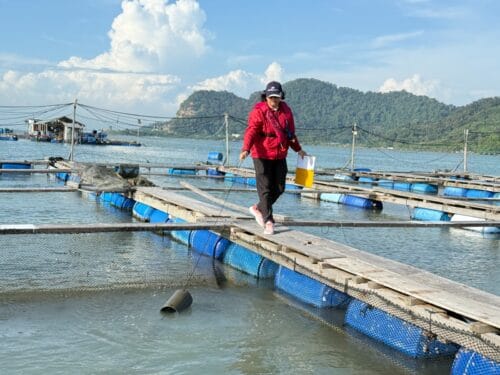 whatsapp image 2025 09 11 at 12.38.52