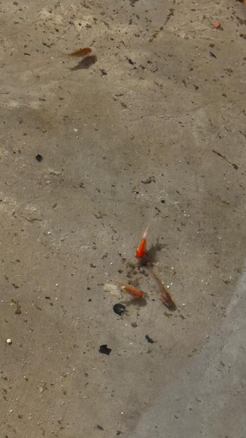 whatsapp image 2025 09 14 at 20.53.29