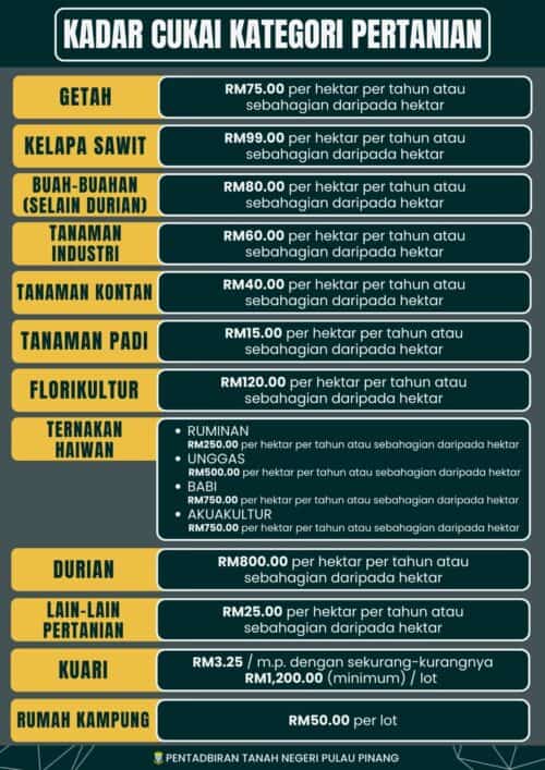 whatsapp image 2025 09 19 at 12.42.58 (1)