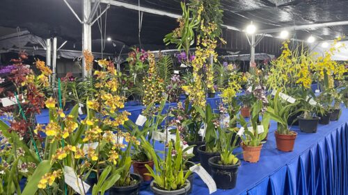 e211946f cf8e 404c 9e8a e7513ad7fe73