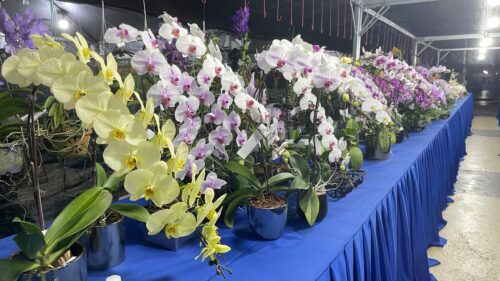 e644ceed b4dc 49cb bf74 7202c7451867