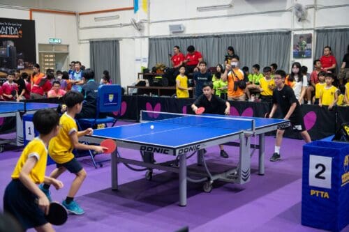 558075572 800473709370781 4796471516901230096 n