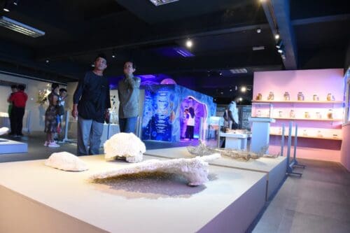 whatsapp image 2025 10 09 at 2.44.41 pm