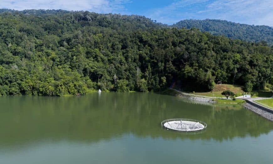 ea195b2f c017 401c 8f7e 7e6ff0e33b1a