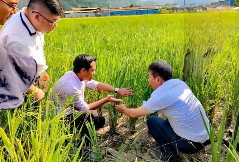 fb img 1758109697034 768x576