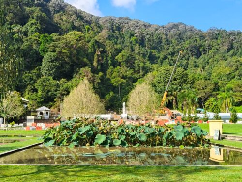 photo 2025 11 14 08 54 21 (2)