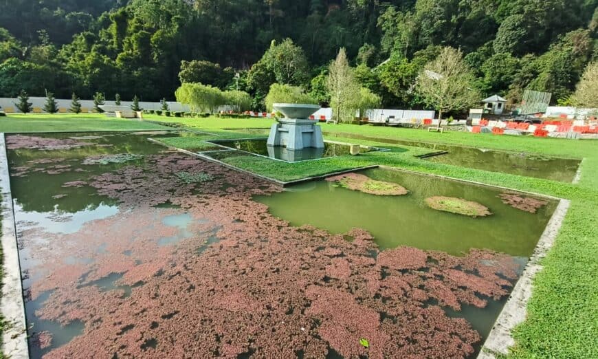 photo 2025 11 14 08 54 21