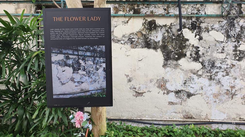 whatsapp image 2025 11 05 at 17.25.31