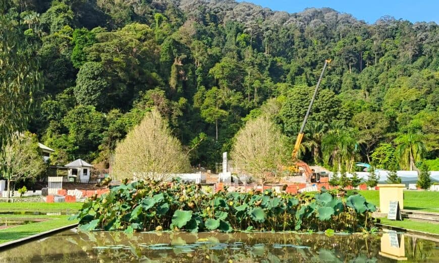 whatsapp image 2025 11 14 at 08.52.32