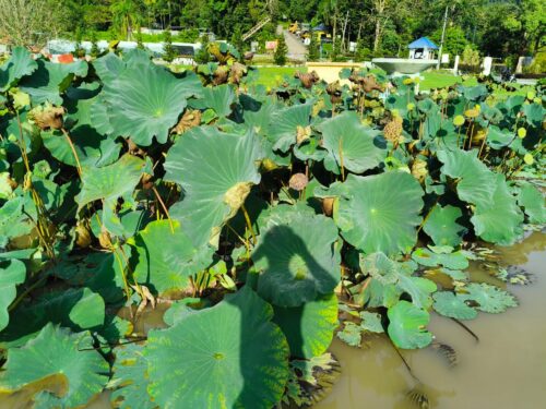 whatsapp image 2025 11 14 at 08.52.44