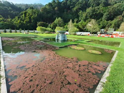 whatsapp image 2025 11 14 at 08.52.55