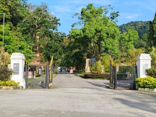 whatsapp image 2025 11 14 at 08.53.19