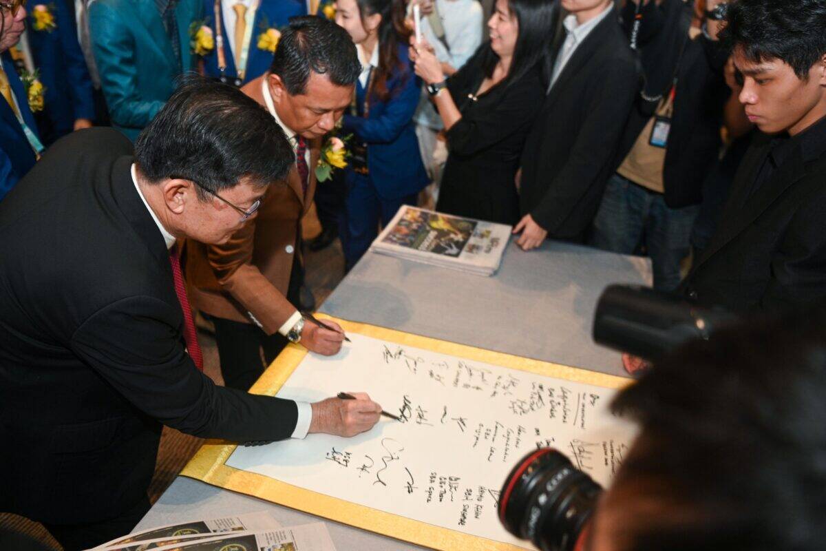 whatsapp image 2025 11 23 at 00.50.17 (3)