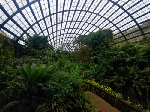 0ab15f7e 470c 4159 bbbc 30ca9654ba64