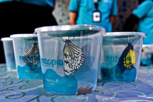 0b64a857 e838 46f6 9c1f 52cb469bbace