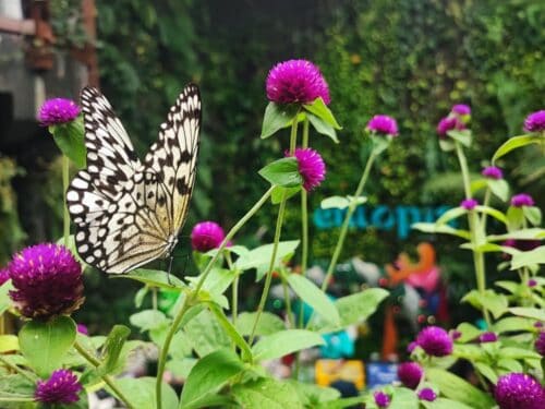 4ab772f6 98d0 4f91 8017 bb7ded5d65d0