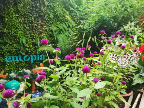 ef879245 b9fe 4a77 bb05 fe87c722f529