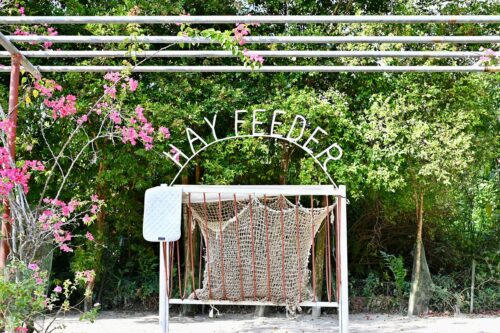 008f4da5 782d 4f5e 928c e9154e1a0d01