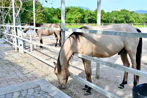 0366acaf aeb3 4feb 8544 891df0787d2a