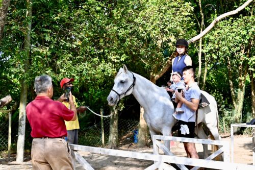 3172aeb9 5504 46ea bd64 515930f87c9a