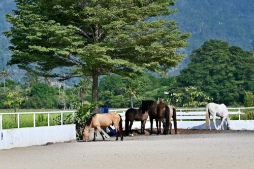 3b25aed1 e1fe 4b07 b15d 3d9c2f003f76