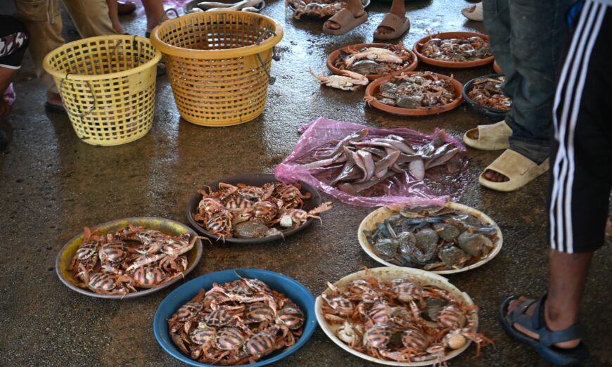 3c956b37 c395 46da 97dd 7dc7bfd3b9a2