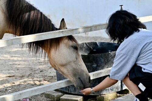 43b5351b 290f 461d bbac 35a7f1d56a0d