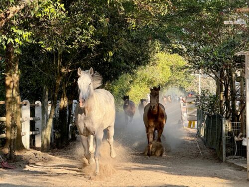 62afcbe8 6a40 47e9 a1b2 beecc9764bfe