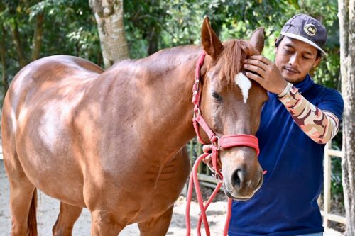 6ac9c00b b6ce 462f 8ced e818b927a40c