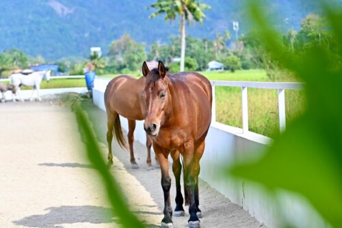 78899864 3c1f 49de 9d80 159a5cecd683