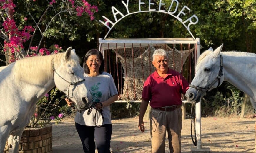 959d86de 258b 4182 9088 439c2d862cda