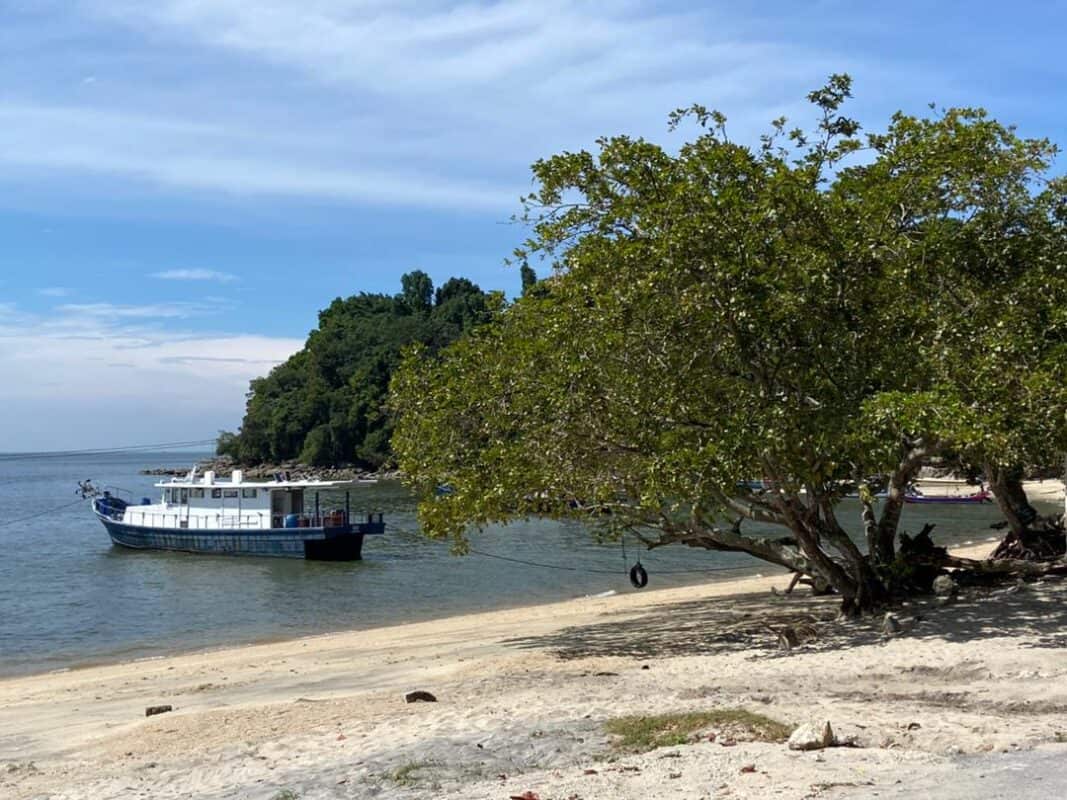 whatsapp image 2026 01 07 at 15.36.50