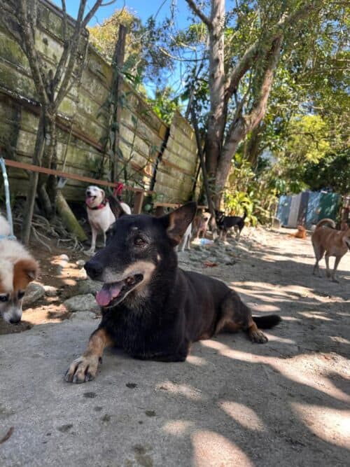 whatsapp image 2026 01 18 at 17.41.41