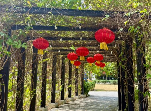 whatsapp image 2026 01 20 at 11.57.47 am