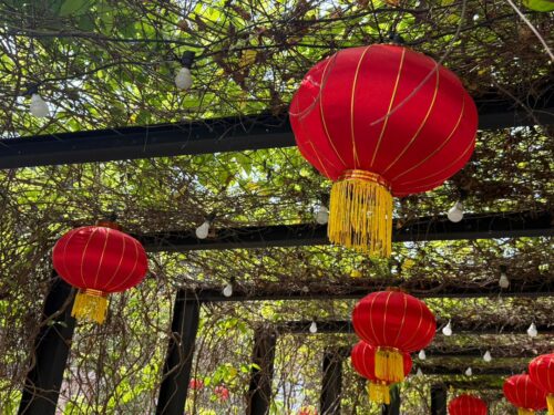 whatsapp image 2026 01 20 at 11.57.48 am (1)