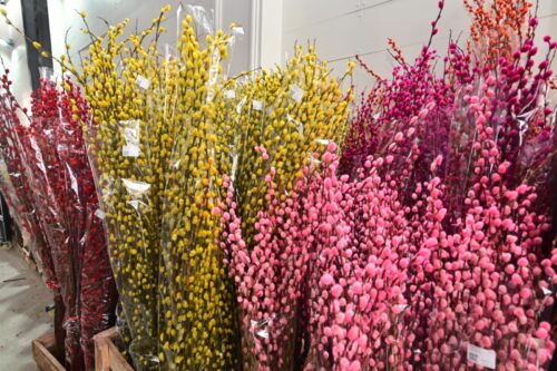 whatsapp image 2026 01 22 at 8.18.54 am (2)